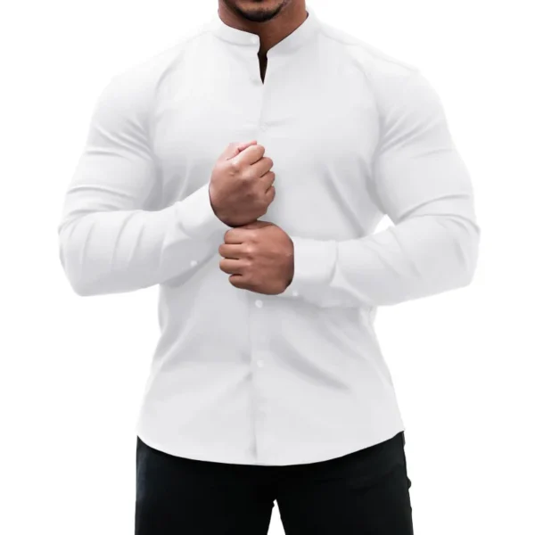 Men's Casual Shirt Slim Fit Micro-elastic Long Sleeve Comfortable Versatile Stand Collar Tops Camisas Men Dress Shirt - Image 6