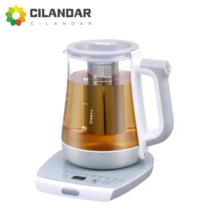 110V220V Health Pot Multifunctional Electric Cooking Soup Decocting Medicine Flower Tea Maker Black Camellia Teapot EU US Plug