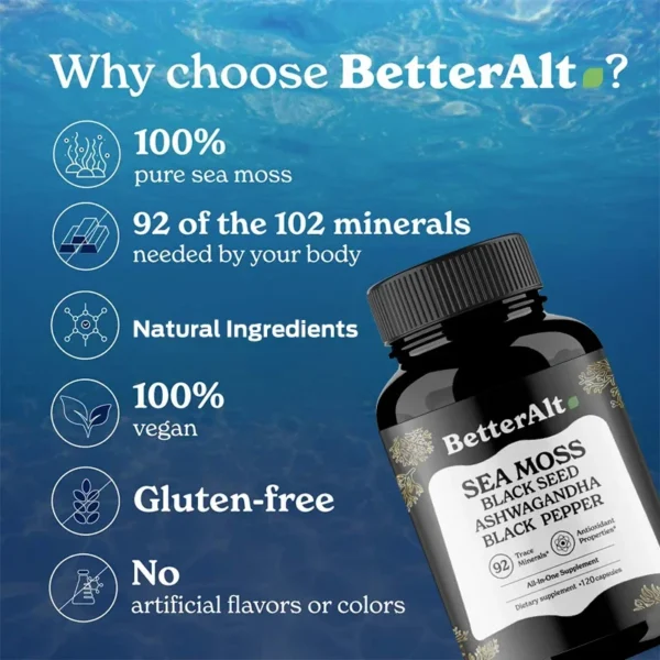 Sea Moss Supplements Help Maintain Energy, Stamina and Overall Well-being, Daily Performance and Immune Health - Image 2